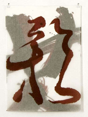 Schatten, 2012, 70 x 50 cm